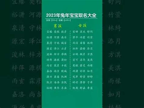 兔寶寶 2023 最 好 運